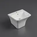 530*440*360mm Semi-Pedestal Wall Hung Rectangular Basin (530X110)