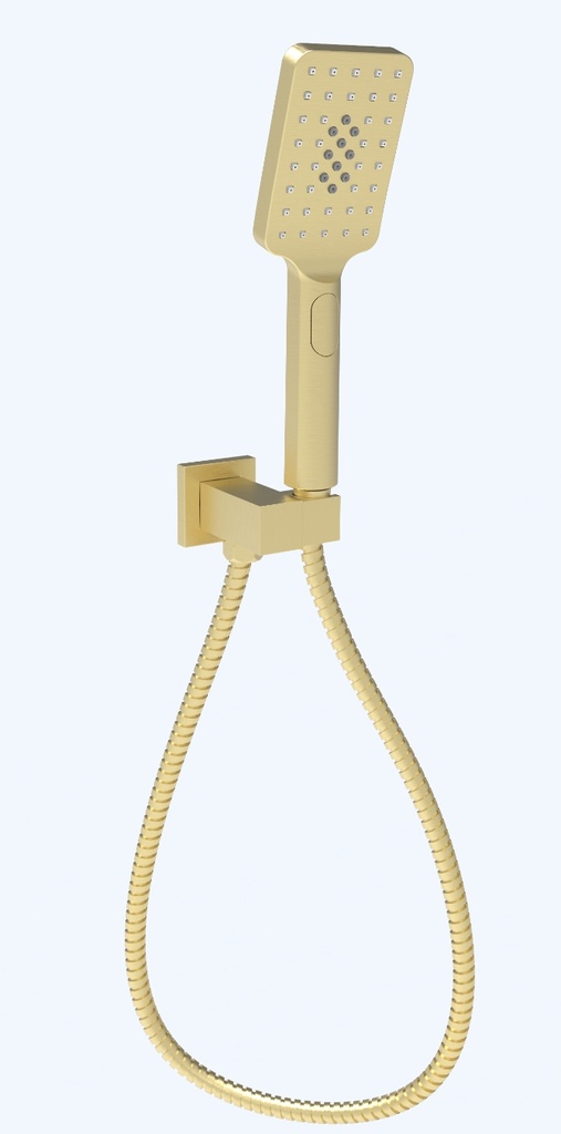 Eden Handshower On Wall Outlet Bracket Brushed Gold