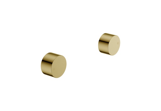 Tana 1/4 turn C/D Wall Top Assembly Brushed Gold